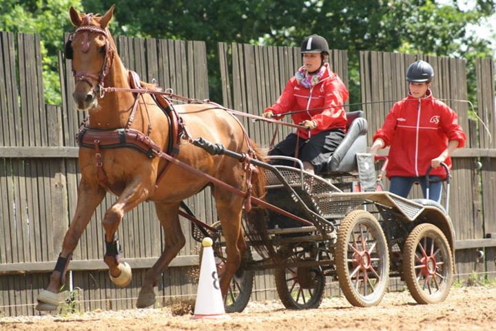 TROJANOVICE TEAM v akci
