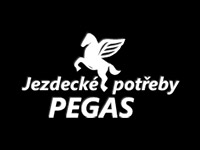 Partner Pegas